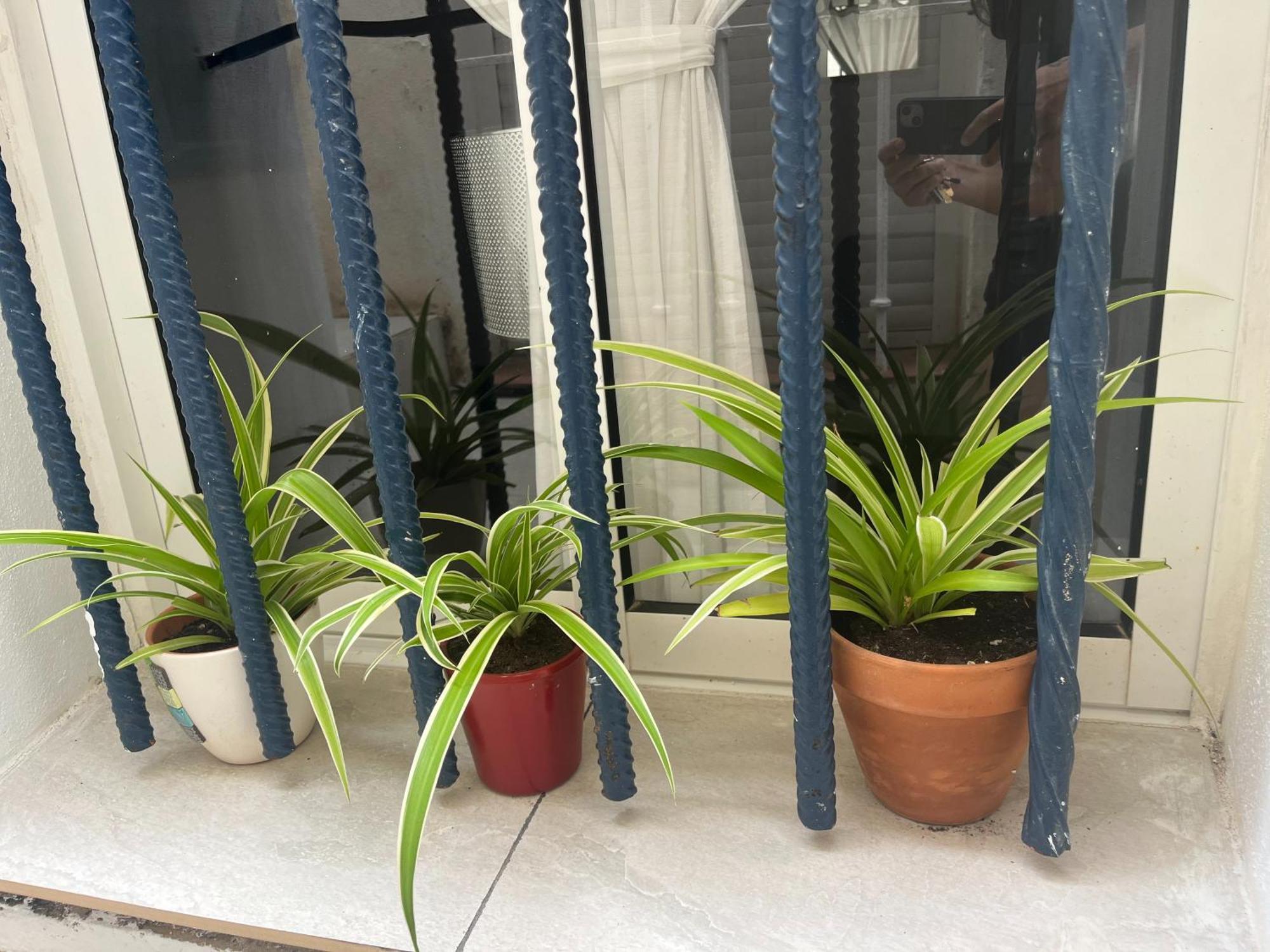 Casa Deniz Daire Málaga Oda fotoğraf
